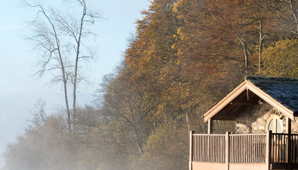 Hoe brengt u een stukje natuur in uw interieur